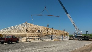 Setting rafters on new hog barn