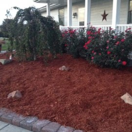 Landscaping colored mulch project